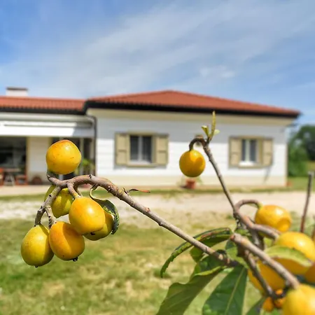 Πανσιόν Da Manuela 3*