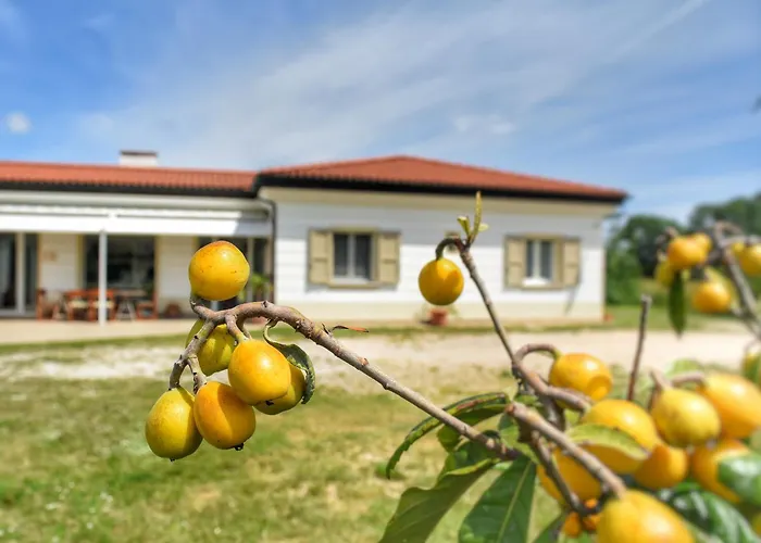 Penzion Da Manuela 3*